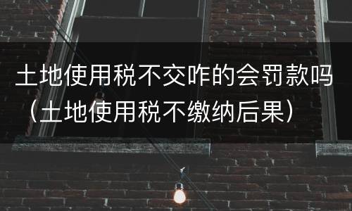 土地使用税不交咋的会罚款吗（土地使用税不缴纳后果）