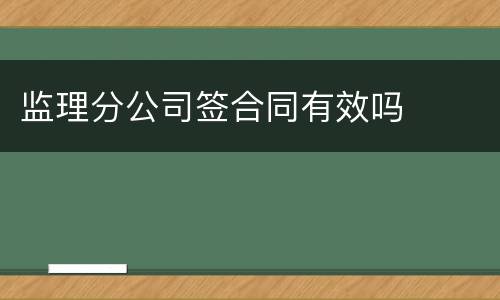 监理分公司签合同有效吗