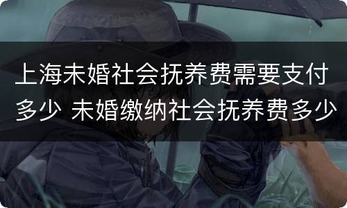 上海未婚社会抚养费需要支付多少 未婚缴纳社会抚养费多少钱