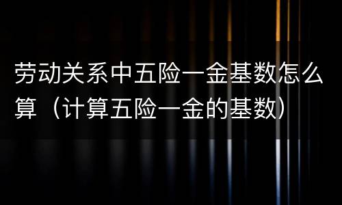 劳动关系中五险一金基数怎么算（计算五险一金的基数）