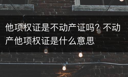 他项权证是不动产证吗? 不动产他项权证是什么意思