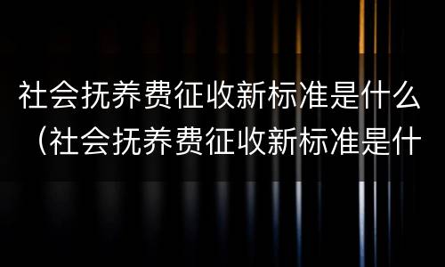 社会抚养费征收新标准是什么（社会抚养费征收新标准是什么样的）