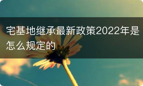 宅基地继承最新政策2022年是怎么规定的