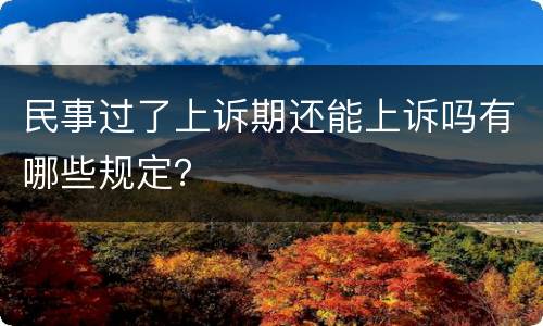 民事过了上诉期还能上诉吗有哪些规定？