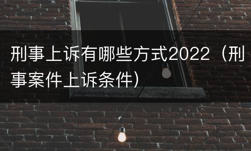 刑事上诉有哪些方式2022（刑事案件上诉条件）