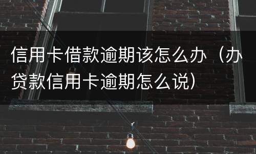 信用卡借款逾期该怎么办（办贷款信用卡逾期怎么说）