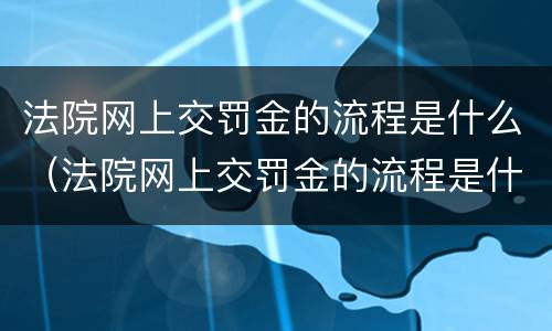 法院网上交罚金的流程是什么（法院网上交罚金的流程是什么样的）