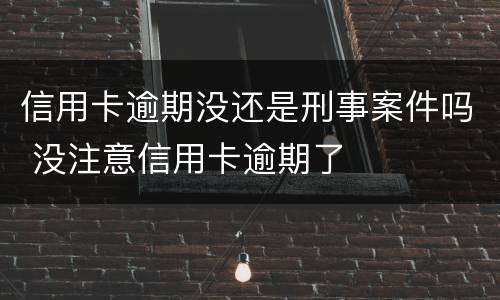 信用卡逾期没还是刑事案件吗 没注意信用卡逾期了