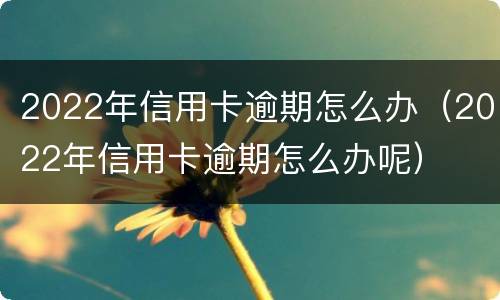 2022年信用卡逾期怎么办（2022年信用卡逾期怎么办呢）