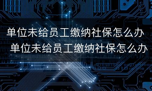 单位未给员工缴纳社保怎么办 单位未给员工缴纳社保怎么办理