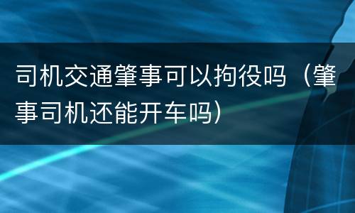 司机交通肇事可以拘役吗（肇事司机还能开车吗）