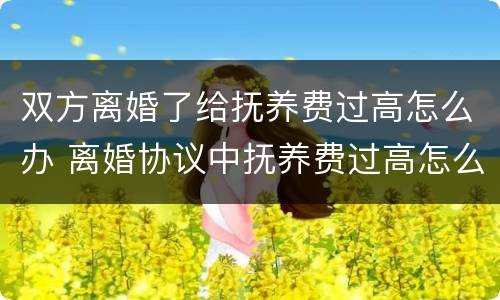 双方离婚了给抚养费过高怎么办 离婚协议中抚养费过高怎么办