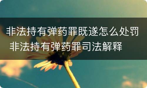 非法持有弹药罪既遂怎么处罚 非法持有弹药罪司法解释