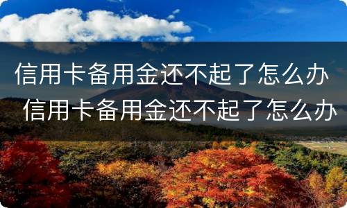 信用卡备用金还不起了怎么办 信用卡备用金还不起了怎么办理