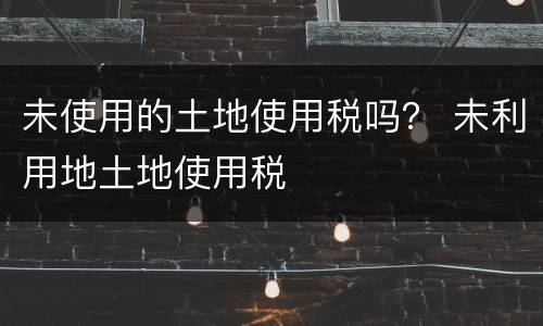 未使用的土地使用税吗？ 未利用地土地使用税