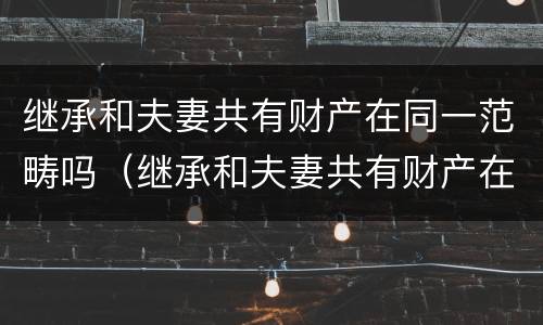 继承和夫妻共有财产在同一范畴吗（继承和夫妻共有财产在同一范畴吗）