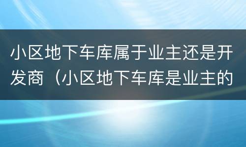 小区地下车库属于业主还是开发商（小区地下车库是业主的吗）