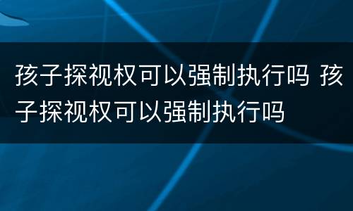 孩子探视权可以强制执行吗 孩子探视权可以强制执行吗