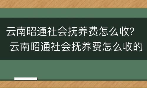 云南昭通社会抚养费怎么收？ 云南昭通社会抚养费怎么收的