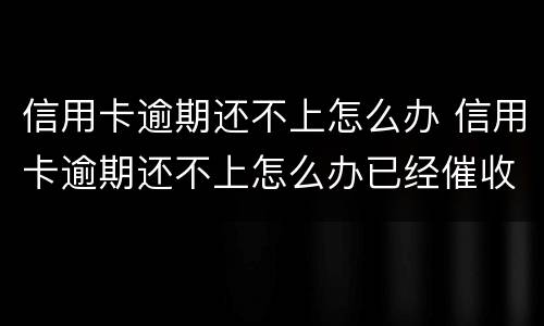 信用卡逾期还不上怎么办 信用卡逾期还不上怎么办已经催收了