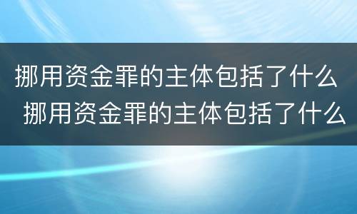 挪用资金罪的主体包括了什么 挪用资金罪的主体包括了什么行为