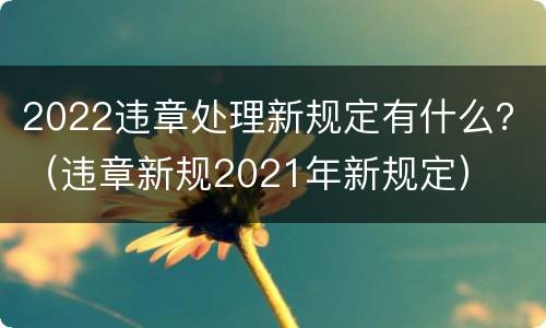 2022违章处理新规定有什么？（违章新规2021年新规定）