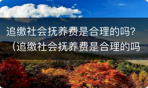 追缴社会抚养费是合理的吗？（追缴社会抚养费是合理的吗）