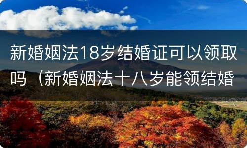 新婚姻法18岁结婚证可以领取吗（新婚姻法十八岁能领结婚证吗）