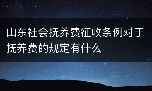 山东社会抚养费征收条例对于抚养费的规定有什么