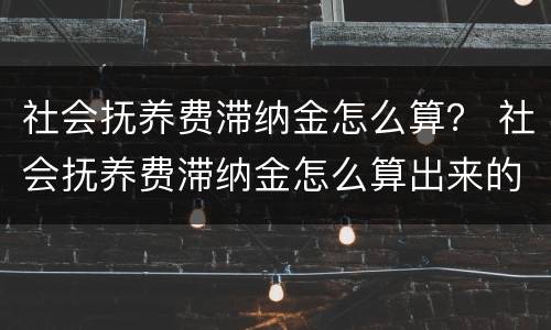 社会抚养费滞纳金怎么算？ 社会抚养费滞纳金怎么算出来的