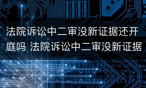 法院诉讼中二审没新证据还开庭吗 法院诉讼中二审没新证据还开庭吗为什么