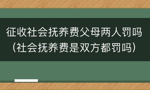 征收社会抚养费父母两人罚吗（社会抚养费是双方都罚吗）