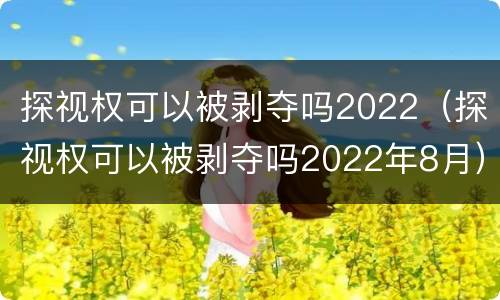 探视权可以被剥夺吗2022（探视权可以被剥夺吗2022年8月）