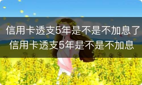 信用卡透支5年是不是不加息了 信用卡透支5年是不是不加息了呀