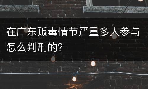 在广东贩毒情节严重多人参与怎么判刑的？