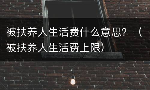 被扶养人生活费什么意思？（被扶养人生活费上限）