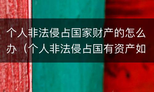 个人非法侵占国家财产的怎么办（个人非法侵占国有资产如何处理）