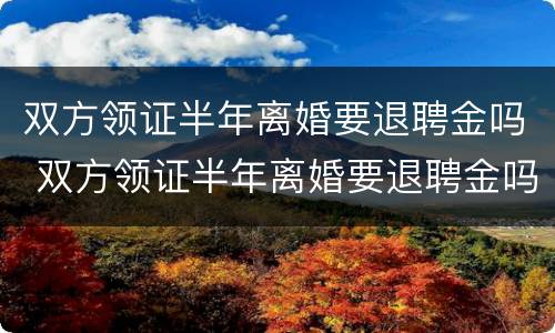 双方领证半年离婚要退聘金吗 双方领证半年离婚要退聘金吗怎么退