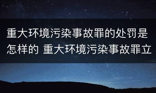 重大环境污染事故罪的处罚是怎样的 重大环境污染事故罪立案标准