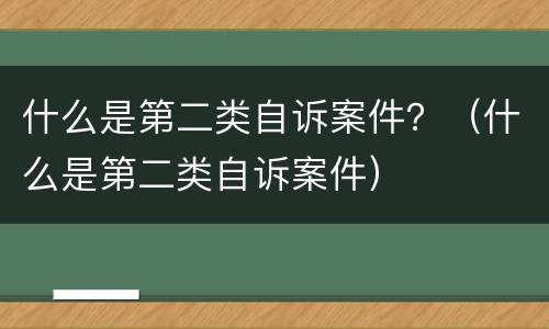 什么是第二类自诉案件？（什么是第二类自诉案件）