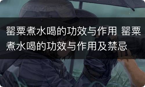 罂粟煮水喝的功效与作用 罂粟煮水喝的功效与作用及禁忌