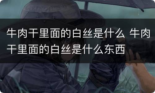 牛肉干里面的白丝是什么 牛肉干里面的白丝是什么东西