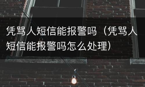 凭骂人短信能报警吗（凭骂人短信能报警吗怎么处理）