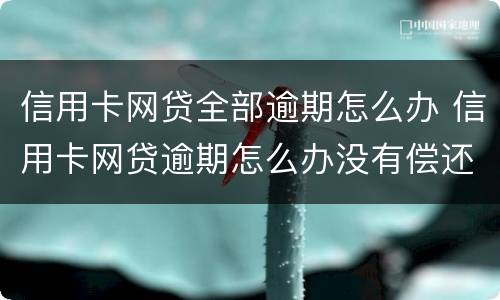 信用卡网贷全部逾期怎么办 信用卡网贷逾期怎么办没有偿还能力