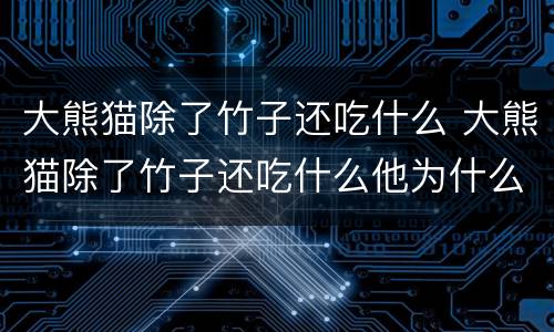 大熊猫除了竹子还吃什么 大熊猫除了竹子还吃什么他为什么吃这些东西