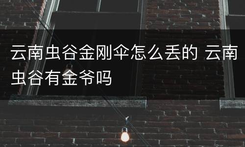 云南虫谷金刚伞怎么丢的 云南虫谷有金爷吗