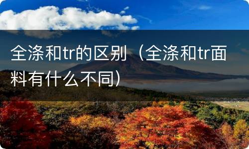 全涤和tr的区别（全涤和tr面料有什么不同）