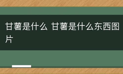 甘薯是什么 甘薯是什么东西图片