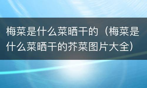 梅菜是什么菜晒干的（梅菜是什么菜晒干的芥菜图片大全）