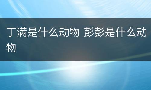 丁满是什么动物 彭彭是什么动物